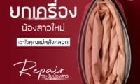 รีแพร์ เมโกะ