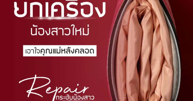 รีแพร์ เมโกะ